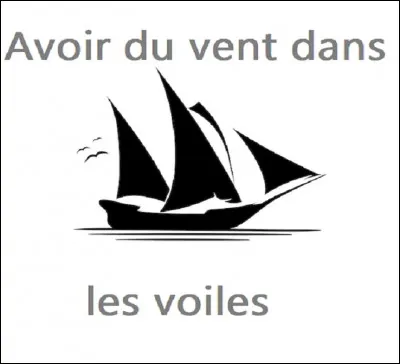 Que signifie lexpression ''Avoir du vent dans les voiles'' au sens figuré ?