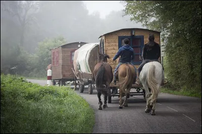 Qui chante "Caravane" en 2005 ?