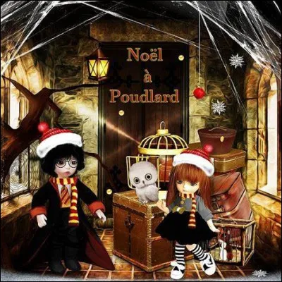 A quelle zone du château Harry va-t-il accéder grâce au cadeau de son père ?