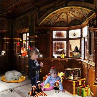 Lors de la première année d'Harry, où les parents Weasley sont-ils partis à Noël ?