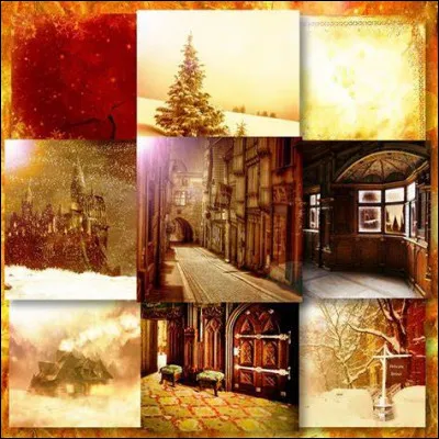 A quel jeu Harry et Ron jouent-ils dans la Grande Salle juste avant Noël ?