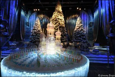 Quel cadeau de Noël Harry reçoit-il de Dumbledore en première année ?