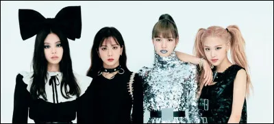 Quelle taille fais-tu (ou quelle taille se rapproche le plus de la tienne) ?