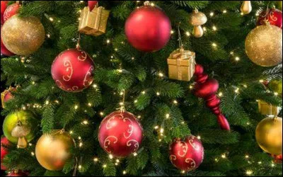 A quel pupitre vocal Birgit Nilsson appartenait-elle ?