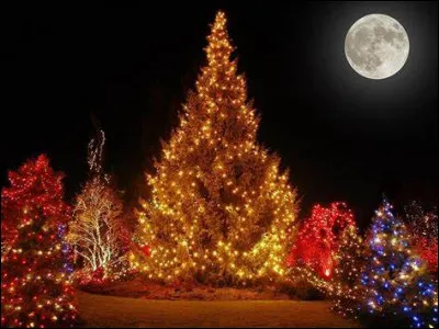 Quel scientifique est né le 25 décembre 1642 ?