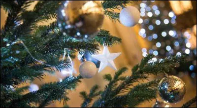 Quel était le vrai nom de Tristan Tzara ?