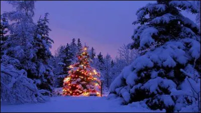 En Somalie en 2022, il est interdit de fêter Noël.