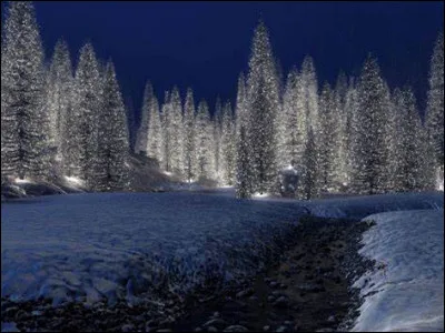 Dans le calendrier julien, la fête de Noël est célébrée en février.