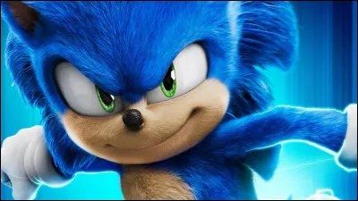 À quel animal est associé Sonic ?