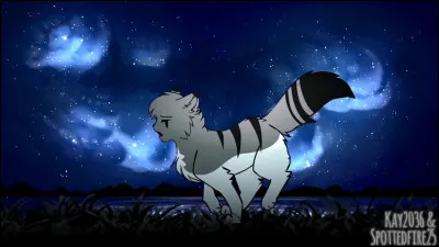 Vous vous rendez compte que pendant votre sommeil, Ombre d'Érable vous apprend à vous battre pour qu'au combat, vous soyez dans son camp. Que faites-vous ?