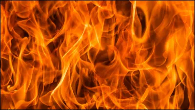 Pour finir, es-tu souvent chez-toi ?