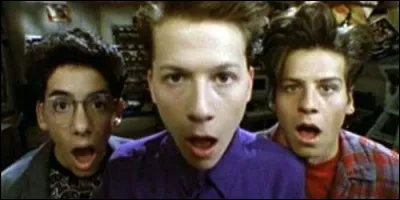 Dans quel lycée vont Parker, Mickey et Jerry dans "Parker Lewis ne perd jamais" ?