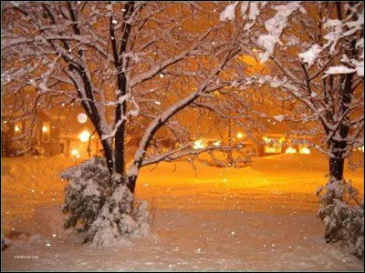 "Black Christmas" - O&ugrave; se d&eacute;roule ce film d'horreur canadien ?