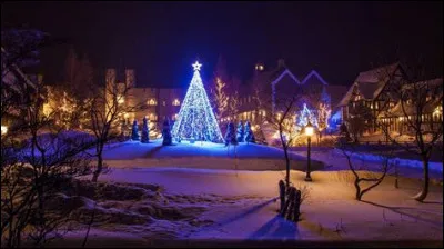 "L'Arbre de No&euml;l" - De quelle maladie Pascal est-il atteint ?