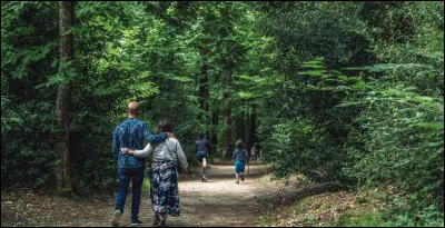 Quel est le titre de cette célèbre comptine ?