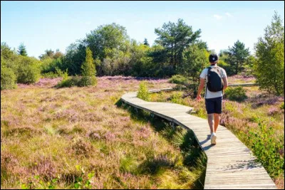 A quel ancien président de la République doit-on le livre d'art "Promenades" en 2021 ?