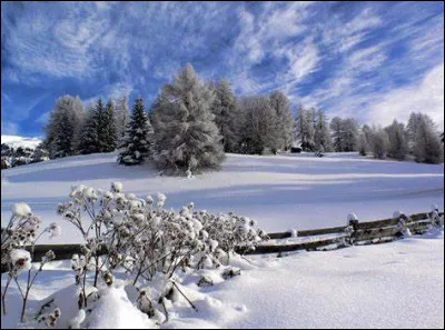 "Elfe" - Qui a trouvé le bébé abandonné ?