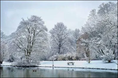 "Esprit de famille" - Qui est fiancé à Everett Stone ?