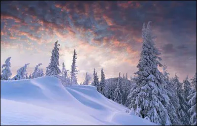 "Les copains fêtent Noël" - Pourquoi est-ce la fin du monde au pôle Nord ?