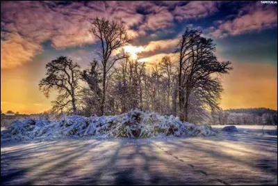 "Descente à Paradise" - Où Bill Firpo est-il maître d'hôtel ?