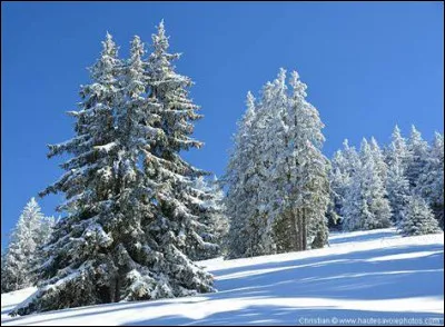 Dans quel pays retrouve-t-on la rivière aux sapins ?