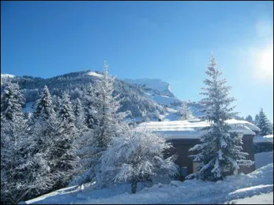 Si ça sent le sapin :