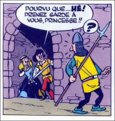 Quelle est l'arme portée par le garde ?