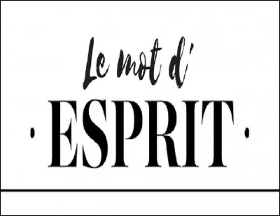 Quel est l'autre nom du ''mot d'esprit'' ?