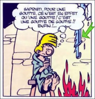 Quel est cet objet domestique (désigné par la flèche verte), assez rare aujourd'hui, mais resté courant dans le langage ?