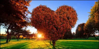 Quelle couleur naturelle trouves-tu à ton goût ?