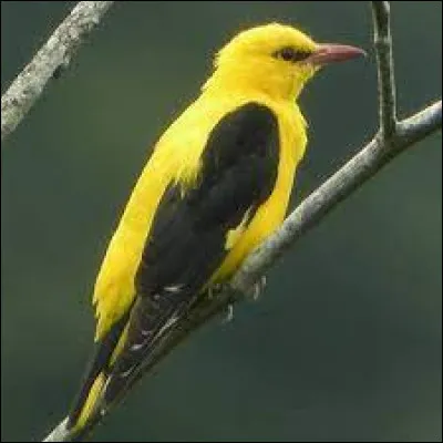 À qui doit-on "Affaire de famille", en 1997 ?