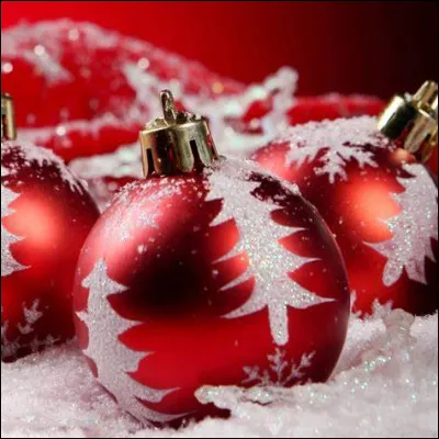 "Joyeux Noël" - A quelle carrière Nikolaus se destinait-il ?