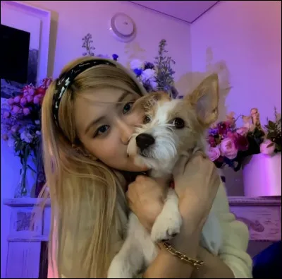 Quel est ton animal préféré ?