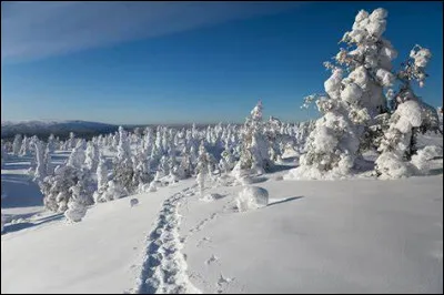 Quelle température peut être atteinte en Laponie, l'hiver ?