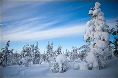 Qui a publié "Noël" en 1960 ?