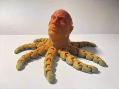 Combien de coeurs ont les pieuvres ?