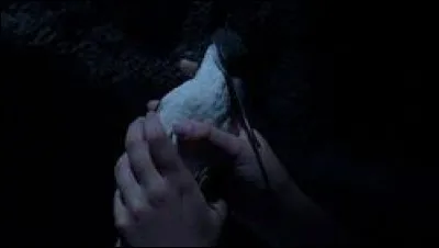 Qui sont les deux personnes qui trouvent Miss Avocet bless&eacute;e ?