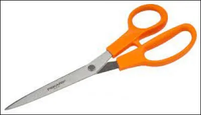 Qui a coup&eacute; la projection du film d'Horace ?