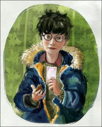 Quest-ce que Harry a-t-il reçu pour ses 17 ans ? (Plusieurs réponses)