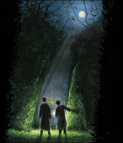 En quoi est le cur de la baguette avec lequel Harry fait son dernier duel contre Lord Voldemort ?