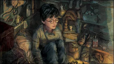 Quest-ce qui est placé comme décoration dans le placard sous les escaliers où Harry dort jusquà ses 11 ans ?