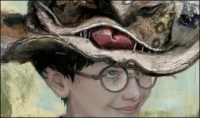 Harry a raté toutes les cérémonies dattribution des maisons, sauf la sienne, jusquà sa combientième année ?