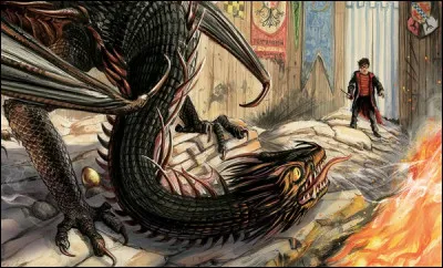 Quel numéro Harry tire-t-il lors du tournoi des trois sorciers pour son dragon qui est un Magyar à pointes ?