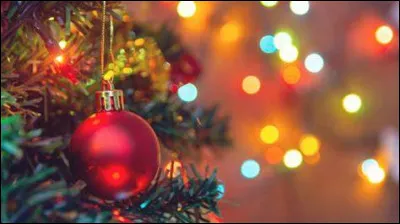 Pendant ce temps, Titi poste sur le forum du site les photos prises lors de son voyage au pays du père Noël...