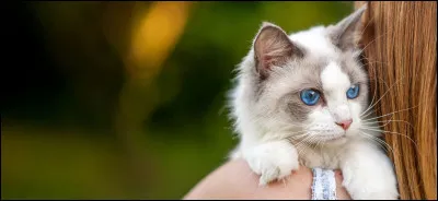 Où est l'animal dont elle s'occupe ?