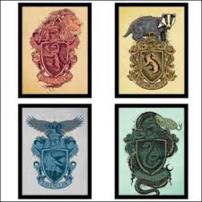 Où est sa maison de Poudlard ?