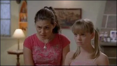 Comment s'appelle la grande sur de Will ?