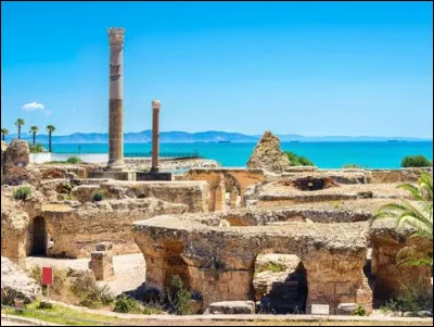 Histoire : Quelle ancienne ville antique et historique se situe en Tunisie ?