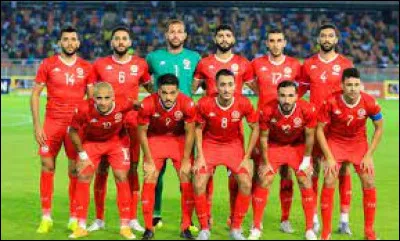 Sport : Quel animal donne son nom au surnom de l'équipe de football nationale de la Tunisie ?