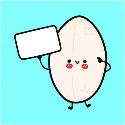 Quel est le nom de cet aliment ?